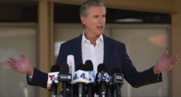 Newsom Rally Hits ICE Flow, Large Mouthed Bass Melt Down – HotAir
