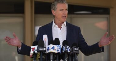 Newsom Rally Hits ICE Flow, Large Mouthed Bass Melt Down – HotAir