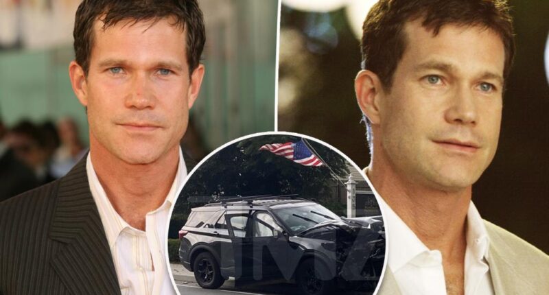 'Nip/Tuck' star Dylan Walsh allegedly had open cans of White Claw in SUV after car crash
