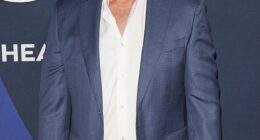 The Nip/Tuck star Dylan Walsh, 61, was involved with a mysterious single-vehicle car crash that sent two people to the hospital over the weekend, TMZ reported on Wednesday; pictured in NYC in July 2024