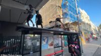 Three men splattered in paint were spotted dancing on top of a bus stop outside Ladbroke Grove station, near Portobello Road market