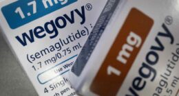Novo Nordisk shares are rising. The FDA approves another use for Wegovy.