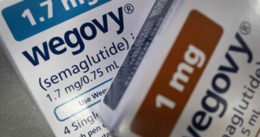 Novo Nordisk shares are rising. The FDA approves another use for Wegovy.