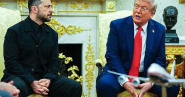 Trump's meeting with Zelensky and European leaders is being widely celebrated by pundits