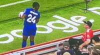 Opening EPL Match Paused Because Player Got Feelings Hurt by ‘Racist’ Heckler.