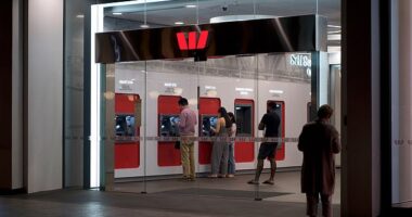 As many as 70 to 80 per cent of mortgage holders are with the Big Four banks... And Westpac is the worst offender - not cutting its variable rate until August 26
