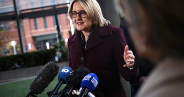 Jacinta Allan's WFH law isn't serious policy. Industrial relations are a federal - not a state - matter