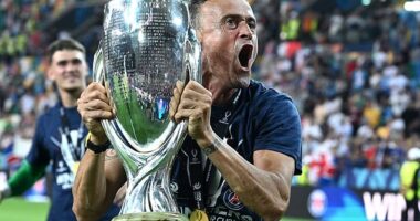 Luis Enrique has admitted his PSG side were 'very lucky' to win the Super Cup against Spurs