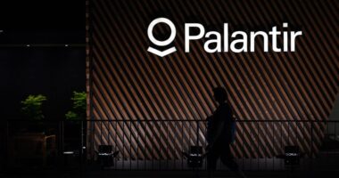 Palantir’s stock is sliding. Here’s why this short-seller thinks even a $40 price tag is ‘generous.’
