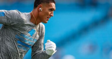 Panthers No. 8 Overall Pick Poised for Massive Season