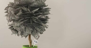 Parents are draining money from retirement accounts and home equity to pay for college. They should do this for their kids instead.
