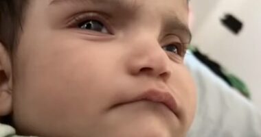 Emmanuel Haro has not been seen since last Thursday when his parents claimed he was abducted during an attack on his mother
