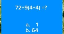 A popular maths social media account, called @Mathclass88, posted the equation on Twitter , where dozens left comments guessing the answer to the question (pictured)