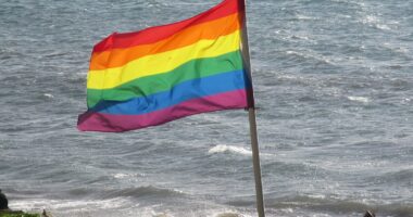 Petitioner Asks SCOTUS To Overturn Its Obergefell Decision