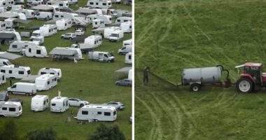 Photographer Reveals The Full Story After Farmer Goes Viral For Spraying Squatters With Manure