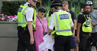 'Pink Lady' anti-migrant protesters have clashed with police outside a hotel housing asylum seekers in Canary Wharf today in the latest wave of demonstrations