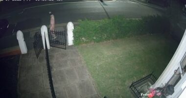 Police launch desperate manhunt after man is seen prowling streets of Lancashire wearing just a gimp mask