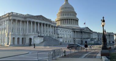 Politico Paints Illegal As Victim To Smear Trump's Anti-Crime Efforts