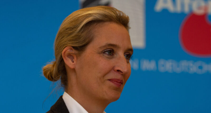 Populist AfD Tops Latest German Polls.