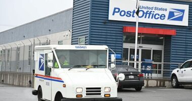 Americans may have to wait longer for their packages to arrive, as postal services across the world announced they are halting shipments to the United States