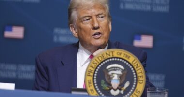 President Trump Is Walking Back His In Vitro Fertilization Pledge and That Is a Good Thing – RedState