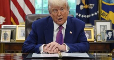 President Trump Reacting to Tariffs Ruling by Federal Court of Appeals – RedState