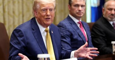 President gives OK for military to target drug cartels designated as terrorist organizations: report