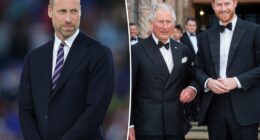 Prince Harry set to reunite with King Charles as Prince William rejects reconciliation: report