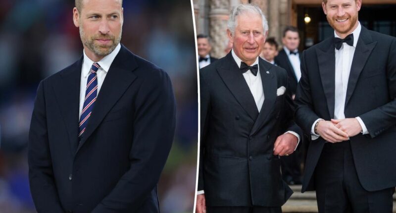 Prince Harry set to reunite with King Charles as Prince William rejects reconciliation: report