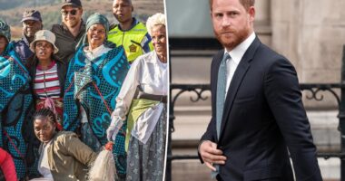 Prince Harry's Sentebale charity makes major UK staff cuts after battle with royal