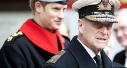 Prince Harry and Prince Philip open the Field of Remembrance at Westminster Abbey in 2013