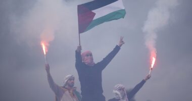 Pro-Hamas Protester Vandalizes State House, MIT and Now They Mention the IEDs on Boston Commons – HotAir