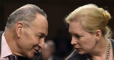 Protesters Arrested at Offices for Sens. Schumer and Gillibrand – HotAir