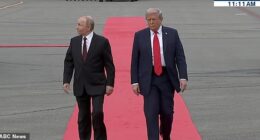 The Russian leader appeared shocked as the jets took off, pausing his walk to look up overhead