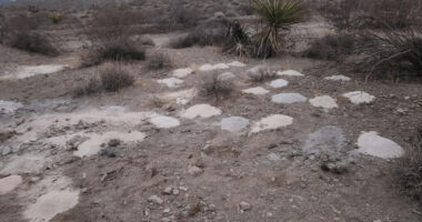 Questions Loom After 70 Piles of Ashes Are Discovered in Desert