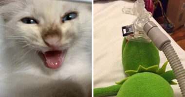 Readers’ Vote: 69 Dirty Jokes For Adults, You Decide What’s Too Much