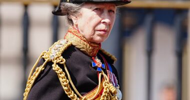 Red-faced Buckingham Palace inserts a VERY embarrassing falsehood into its '75 facts about Princess Anne' for her birthday