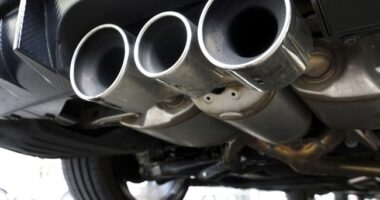 RedStaters' Ideal Road Trip and What They're Listening To