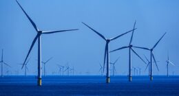 Renewables generate half of UK’s electricity in 2024 in new record high