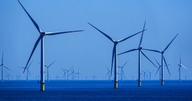 Renewables generate half of UK’s electricity in 2024 in new record high