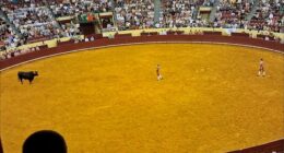 A video from the fight shows the victim run towards the enormous bull to provoke the animal into charging