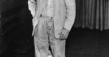 Albert Fish was a frail, grey-haired man with the polite air of a kindly grandfather - but beneath that veneer lurked one of the most sadistic killers in American history