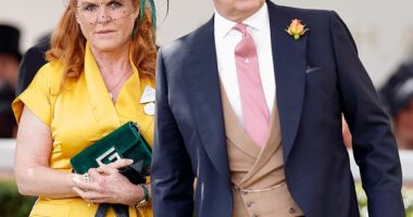 Sarah Ferguson showed all was business as usual on her end amid facing infidelity rumours - as she wished Instagram followers a 'happy International Youth Day'. Pictured with Andrew in 2019