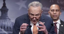 Schumer Gaslights About DC Crime, Gets 'Pantsed' by Senator Mullin, and His Own Security Detail – RedState