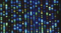 Scientific Fraud May Now Be Keeping Up with Moore's Law – HotAir