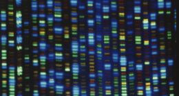 Scientific Fraud May Now Be Keeping Up with Moore's Law – HotAir