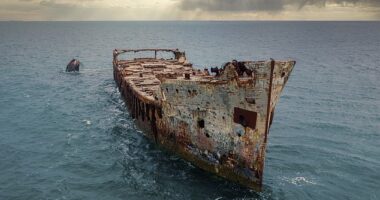 The Bermuda Triangle is home to some of the world's most famous shipwrecks, such as that of the SS Sapona (pictured), but a scientist now claims to have solved the mystery of this deadly region