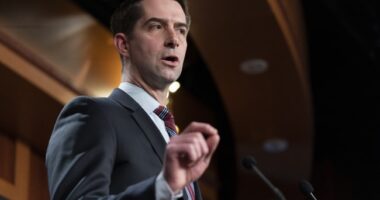 Senate Republicans Finally Wake Up and Play Hardball With Democrats Over Trump Nominees – RedState