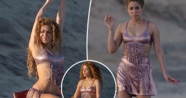 Shakira shows off her curves in metallic pink bikini during Mexican getaway