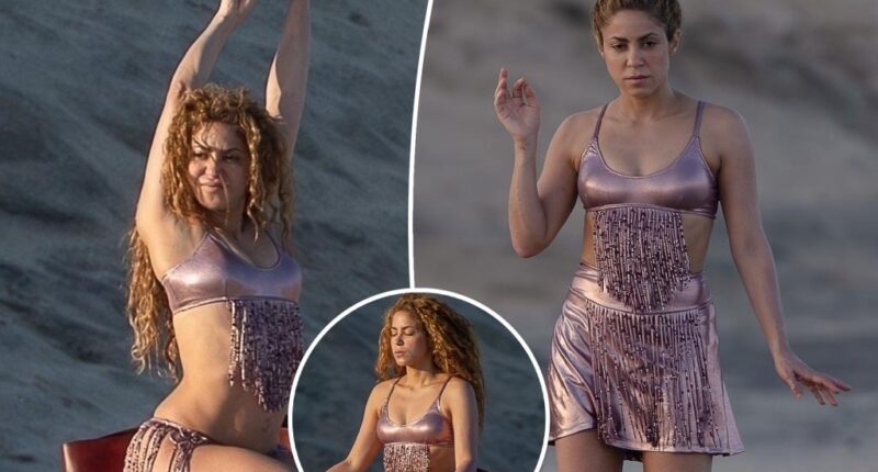 Shakira shows off her curves in metallic pink bikini during Mexican getaway